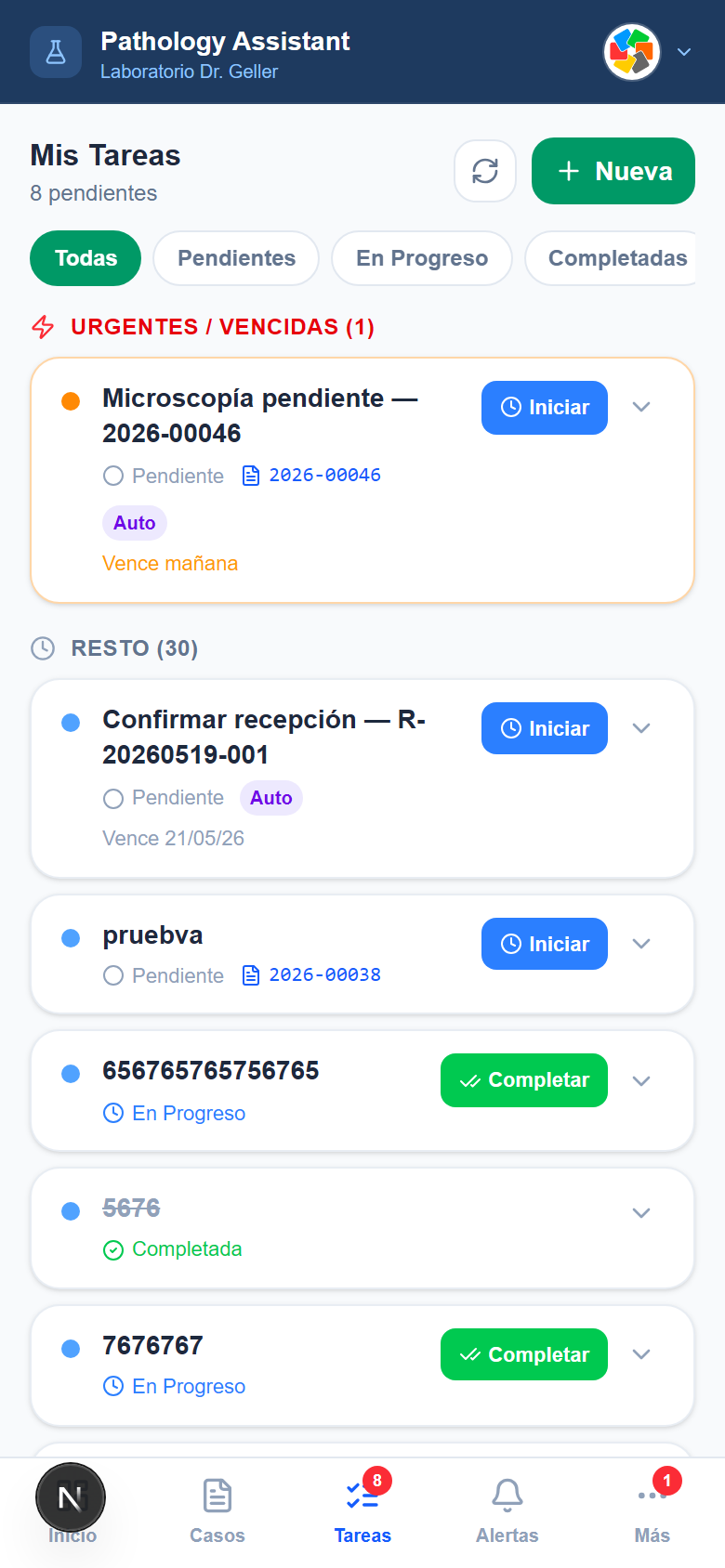 App Móvil — Técnico