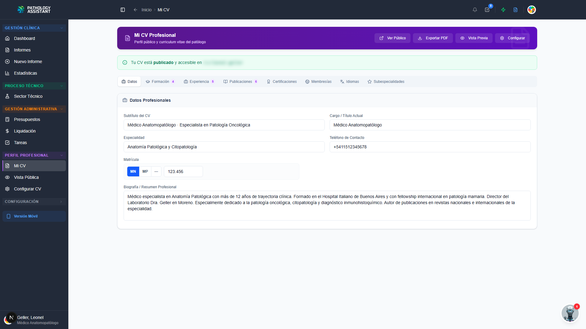 CV Profesional